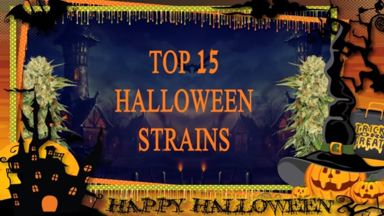 Top 15 Halloween Strains | Happy Halloweed!