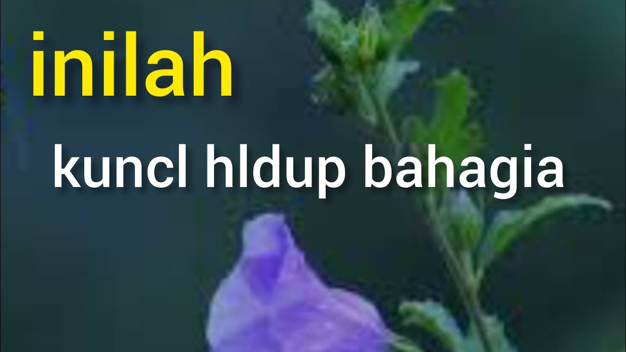 Tausiyah KH Zainuddin Mz dengan Tema KUNCI BAHAGIA DUNIA AKHIRAT 