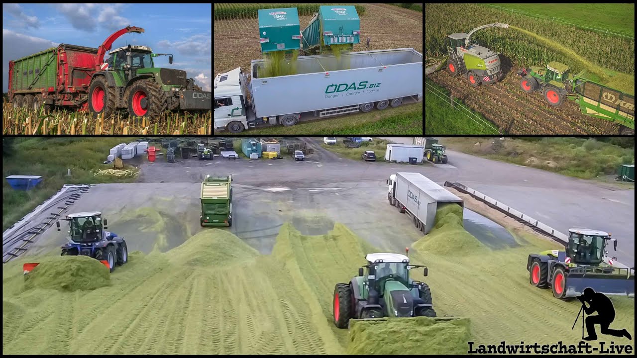 Maishäckseln Odas | 3x Häckselketten | Fendt 930 + Hawe SUW | Lu Spallek, Plogmaker, Milte
