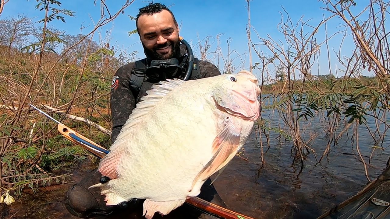 Pesca Sub - Tilápias do Centro-Oeste Brasileiro - Parte 2