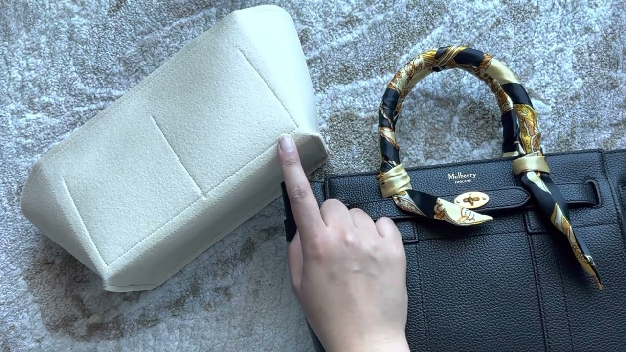 Samorga Insert Bag Organizer Review! | Mulbery Mini Zipped Baywater Bag!