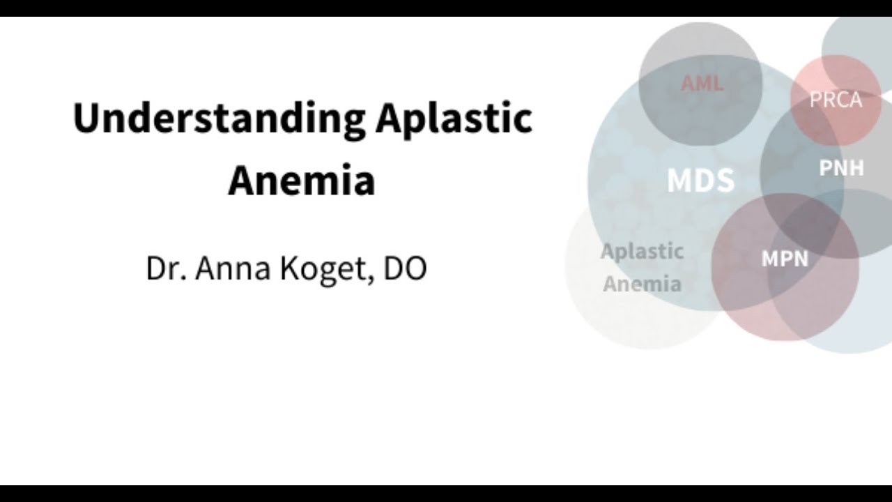 Understanding Aplastic Anemia 2021 Winter Patient Family Conference