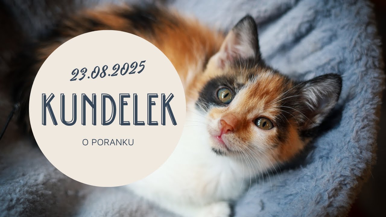 Kundelek o poranku. 23.08.2025