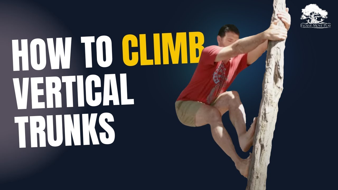 How To Climb Trees Part Two - Climbing Vertical Trunks