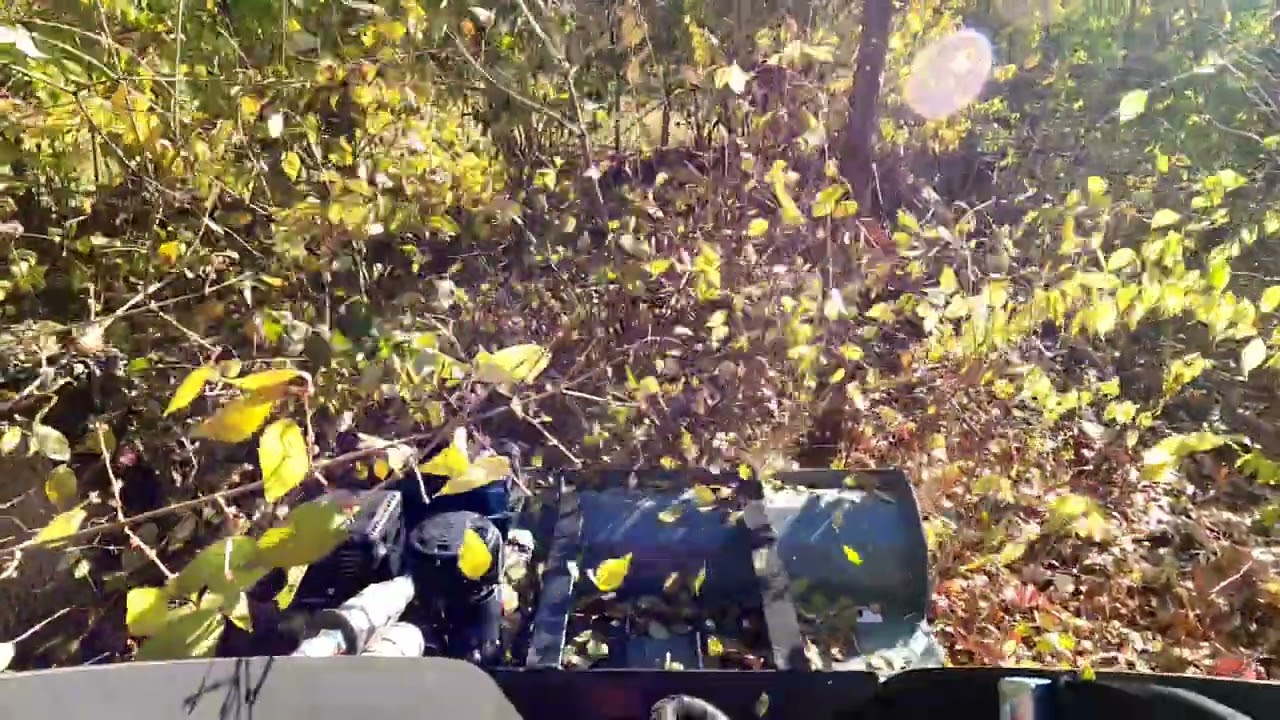 Remote Control Mini Loader with Forestry Head from Cast Loader available for rental and purchase