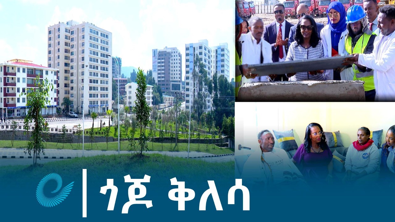 ጎጆ ቅለሳ @ethiopiannewsagency