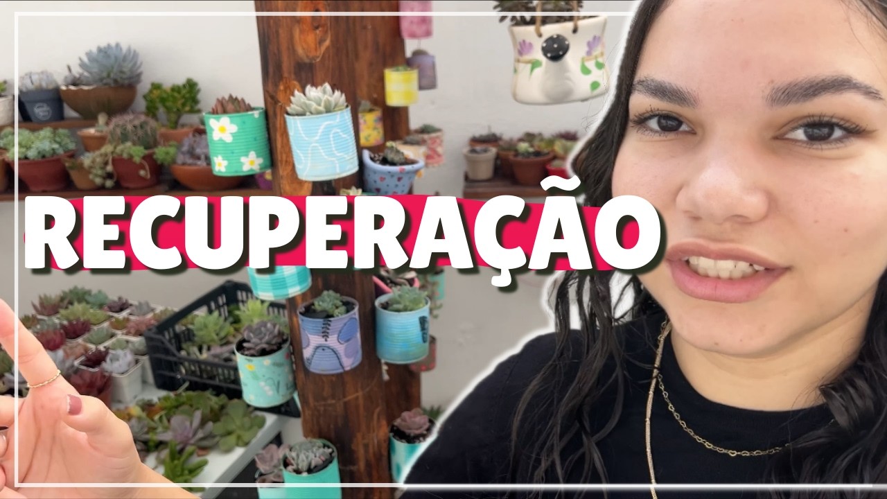A Saga Continua: Mudando o Substrato e Recuperando Minhas Suculentas!