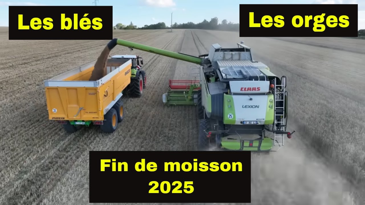 Moisson 2025 Les blés et les orges de brasserie