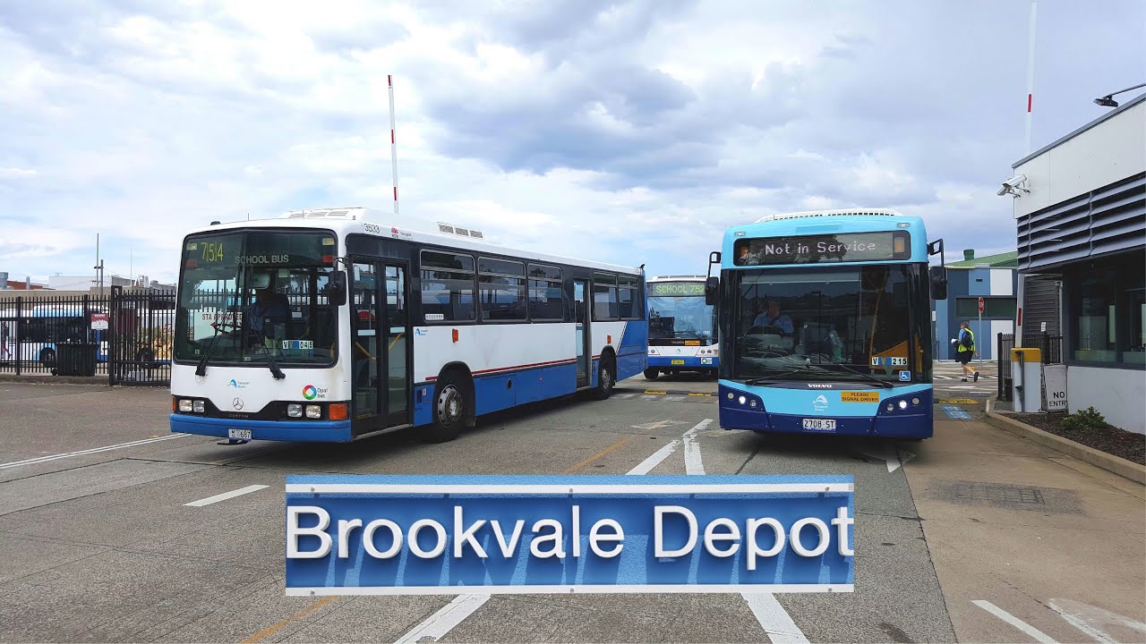 Sydney Bus Vlog 30: Brookvale Bus Depot Timelapse