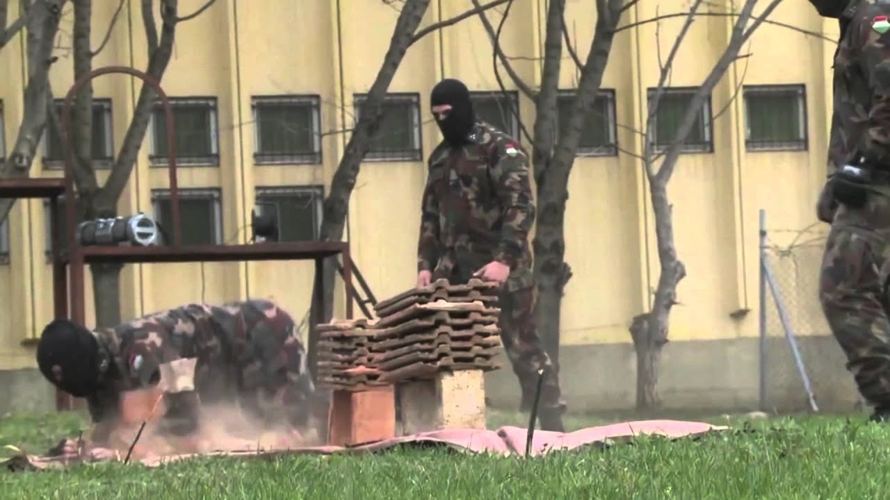 Magyar Honvédség - Hungarian Ground Forces