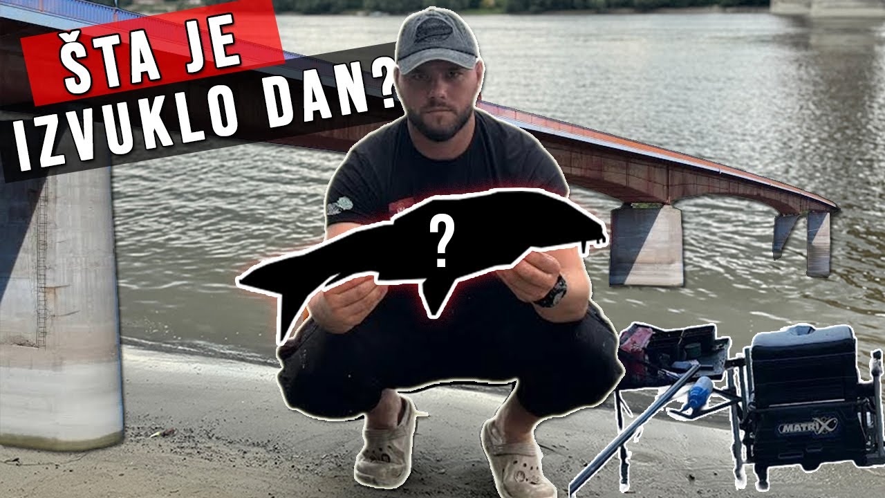 Feeder na Dunavu | Bezdan - Jedan udarac izvlači dan