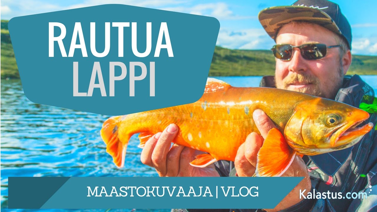 Raudun uistelua & piipahdus makkarajärvellä | Lapissa kalassa