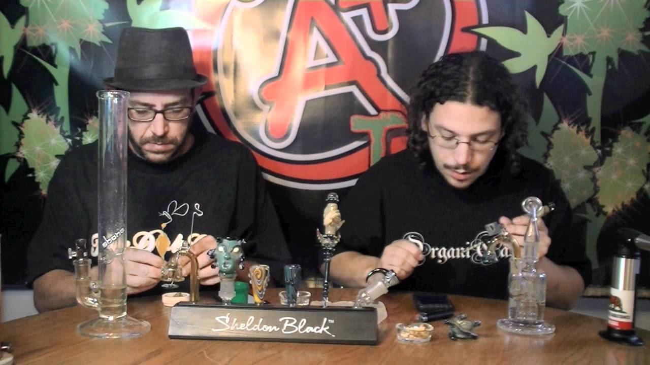 A PLUS TV - CannaTube Update #8 (FLOWERSBYBEN is back from vacation!!!)