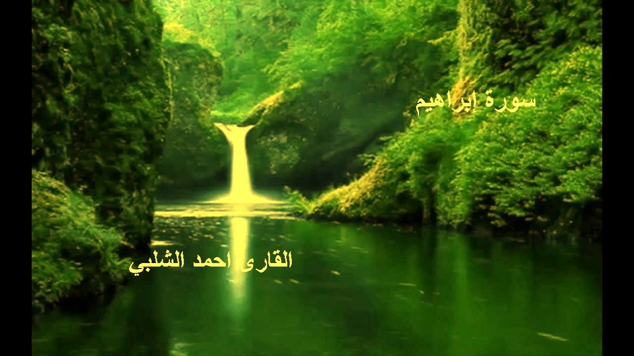 سورة ابراهيم للقارئ احمد الشلبي