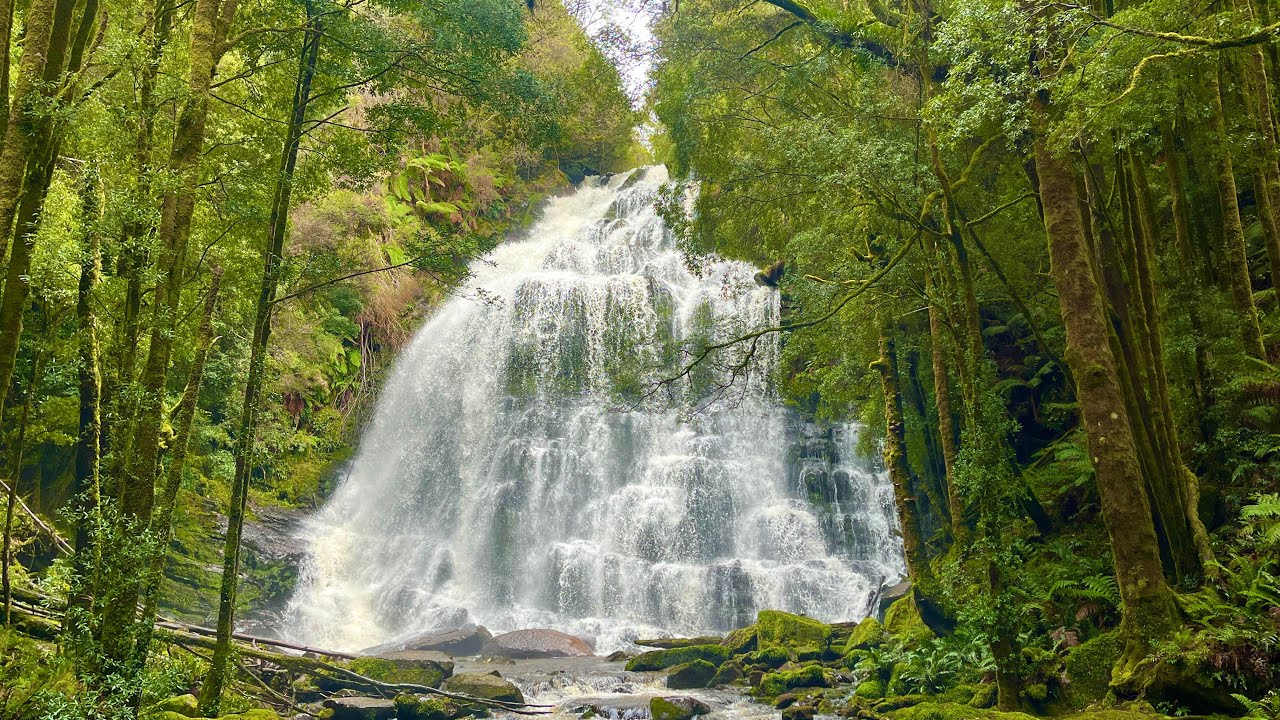 FNQ Camping - Tasmania Exploring