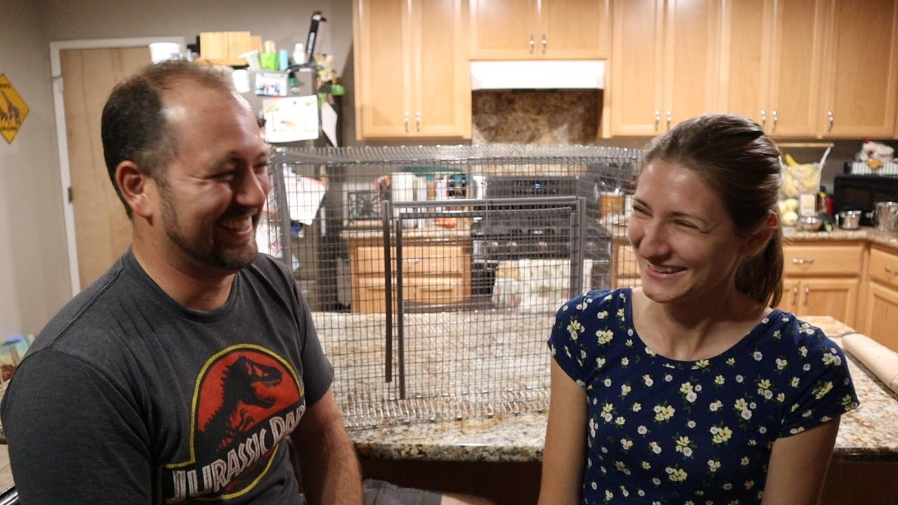 How to Build a Rabbit Cage