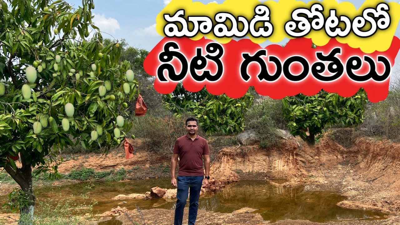 తోటలో నీటి కుంటలు తొవ్వినం.. బోర్లు బాగా పోస్తున్నాయి | Ground Water Management