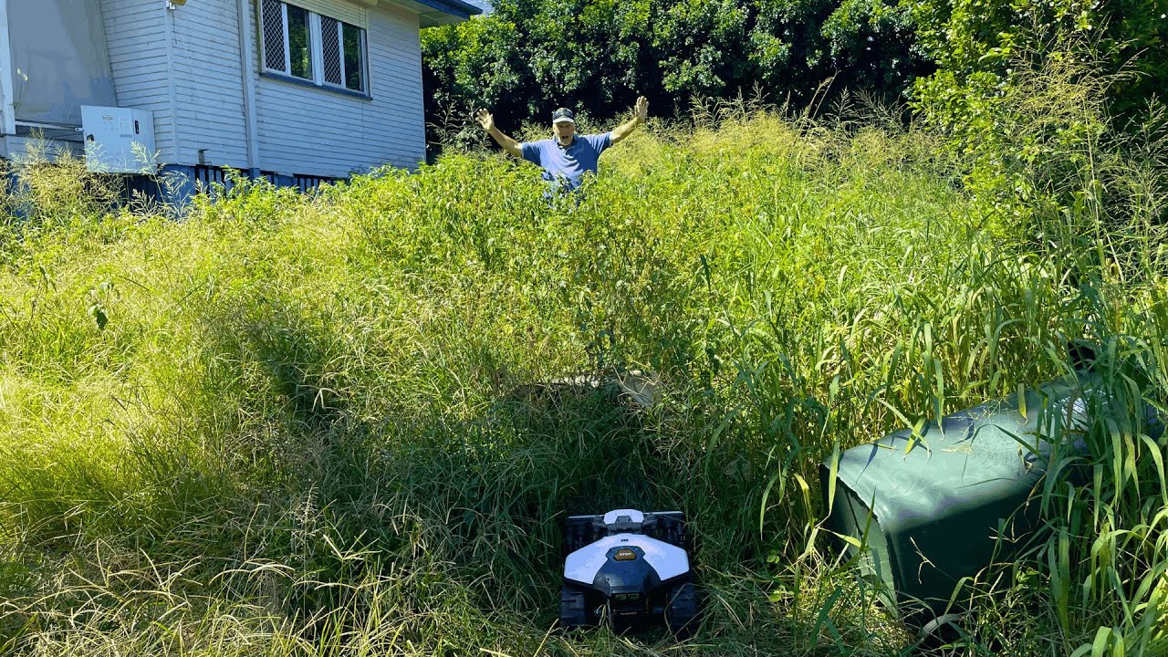 Can the LUBA mini AWD take on our MOST OVERGROWN yard ever| Mammotion