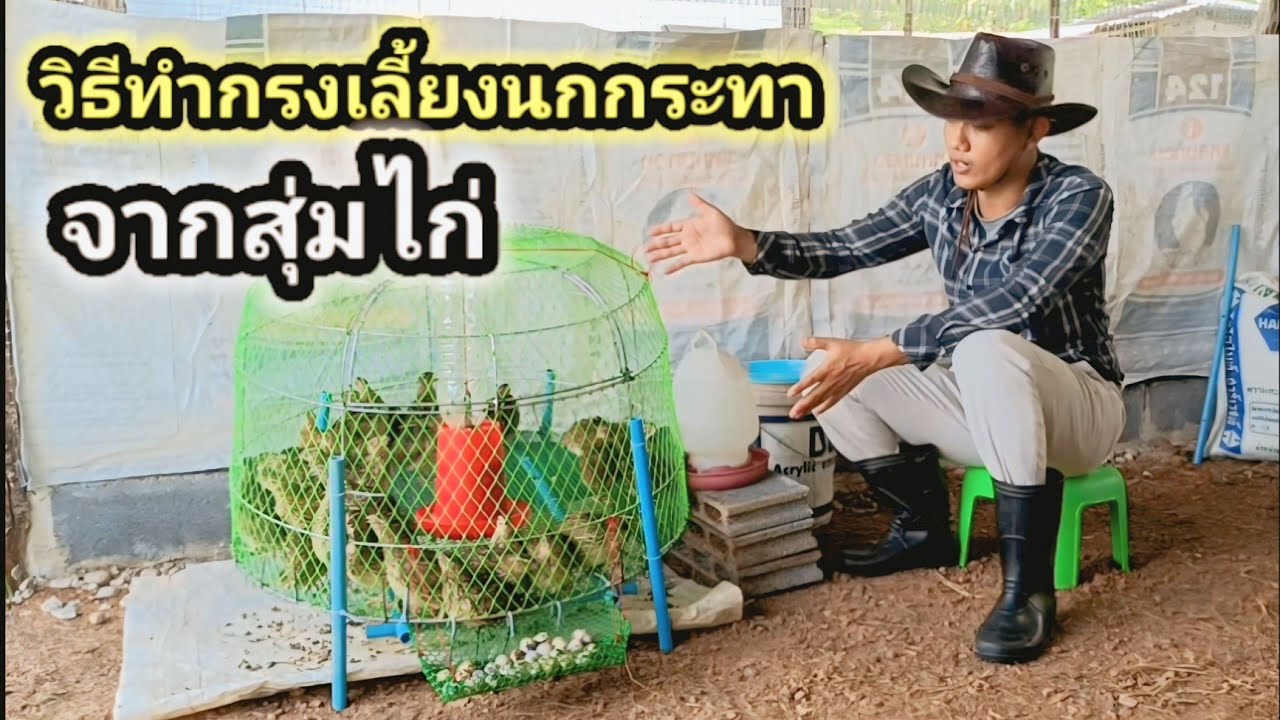 วิธีทำกรงเลี้ยงนกกระทา (จากสุ่มไก่) : SMILE FARM