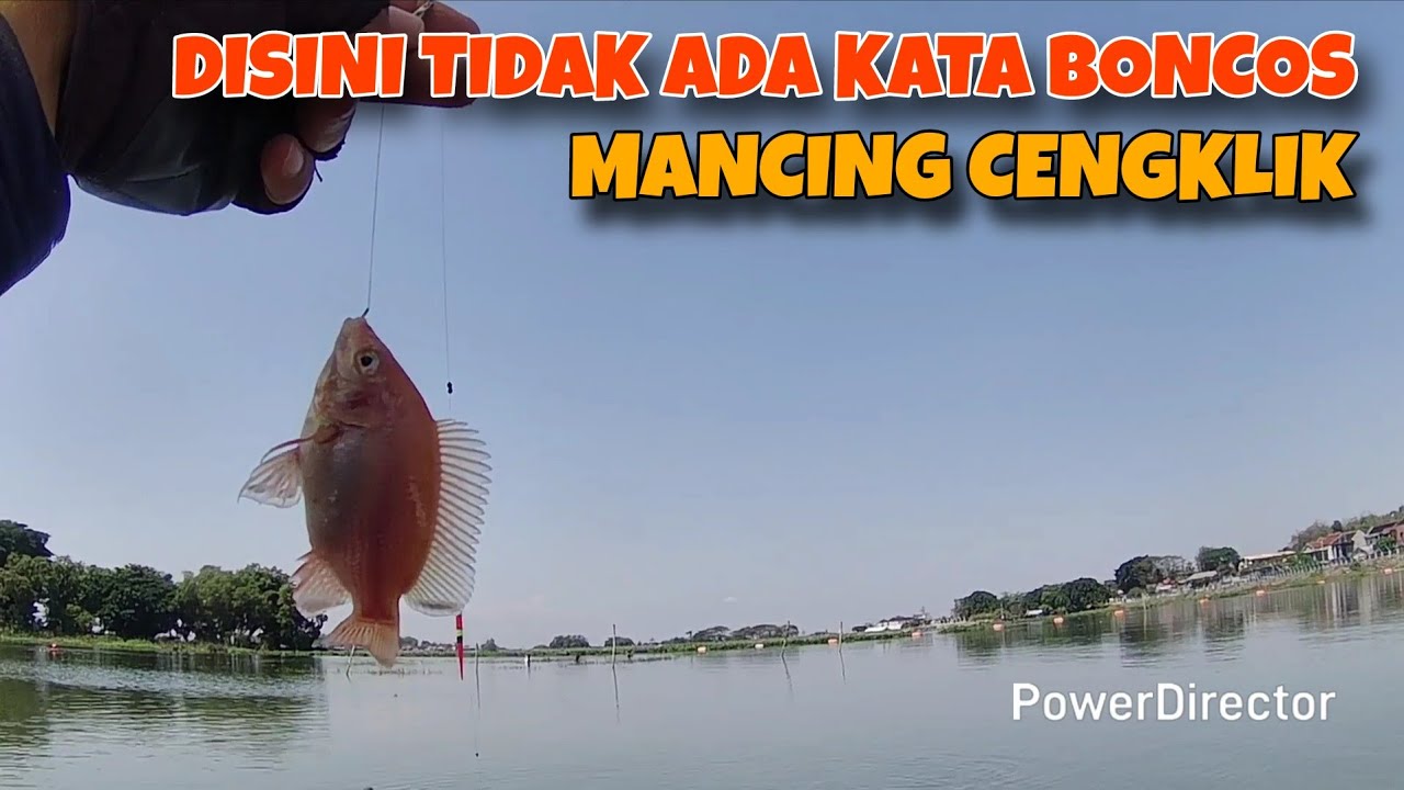 MANCING DISINI STRIKE SEPANJANG HARI