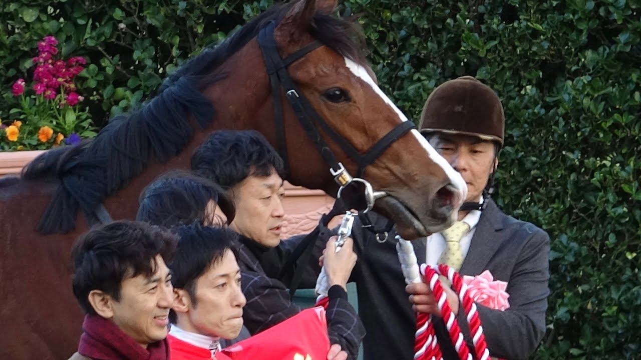 【現地撮影】第42回フェアリーステークス(GⅢ)ブラックチャリス&津村明秀騎手優勝🥇