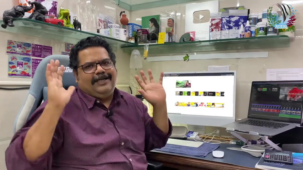 STOP Harming Your Fish With Overfeeding! | Aquarium Fish Tips | Mayur Dev Aquascaper