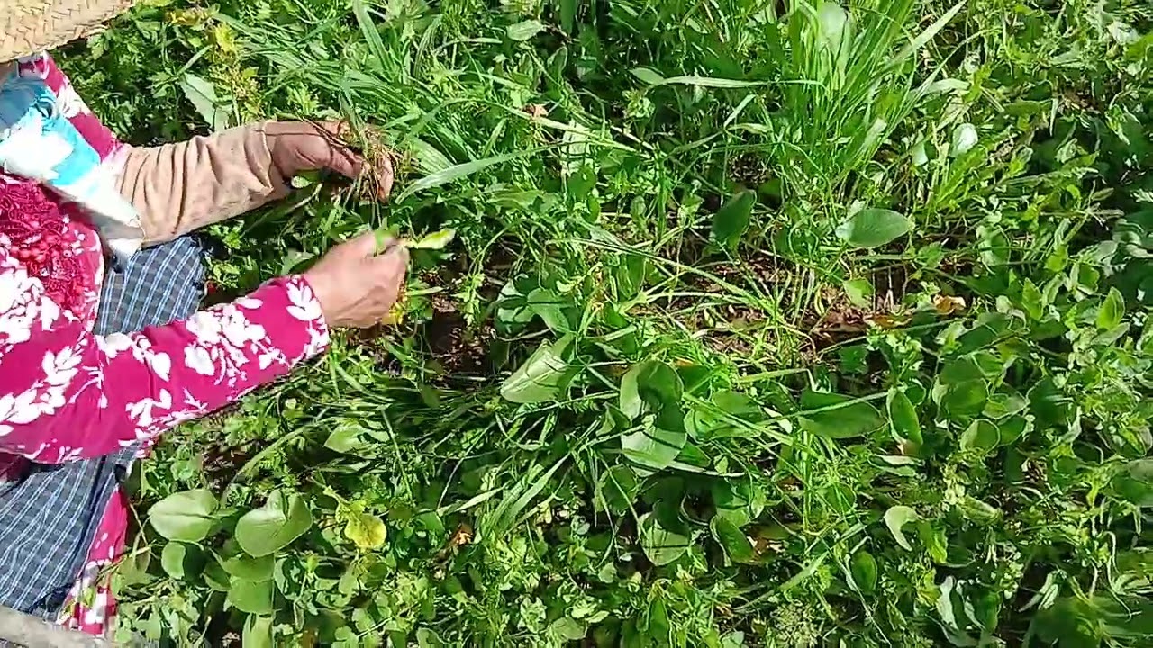 شركت معكم  هاد الفيديو  