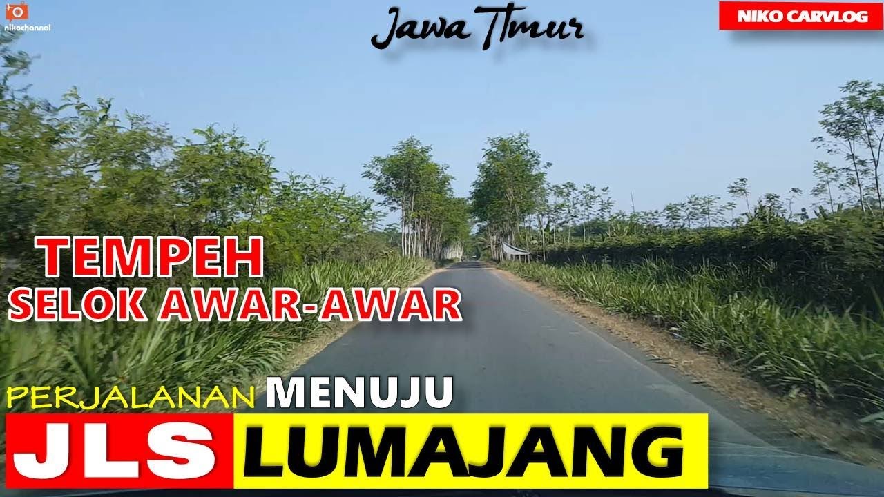 Lumajang ke JLS LUMAJANG via Tempeh, Selok Awar-Awar Jalannya Siipp!!