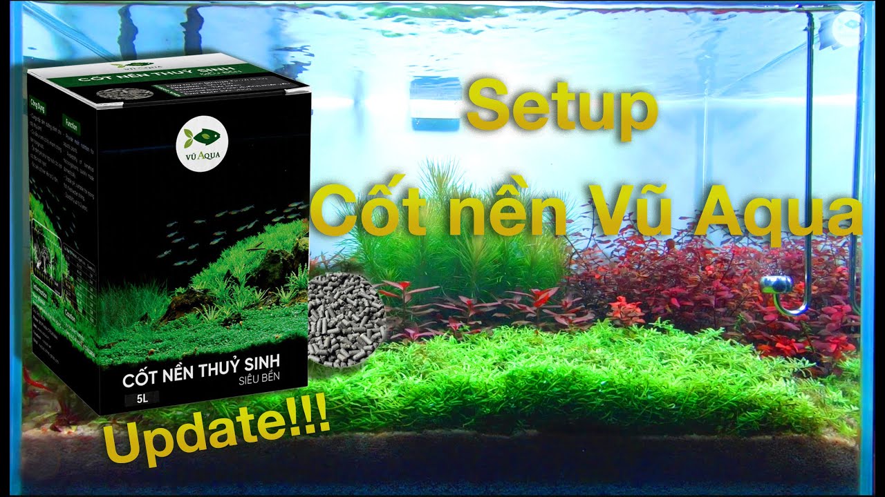 Hướng dẫn sử dụng cốt nền thuỷ sinh Vũ Aqua và quá trình phát triển cây trong bể.....