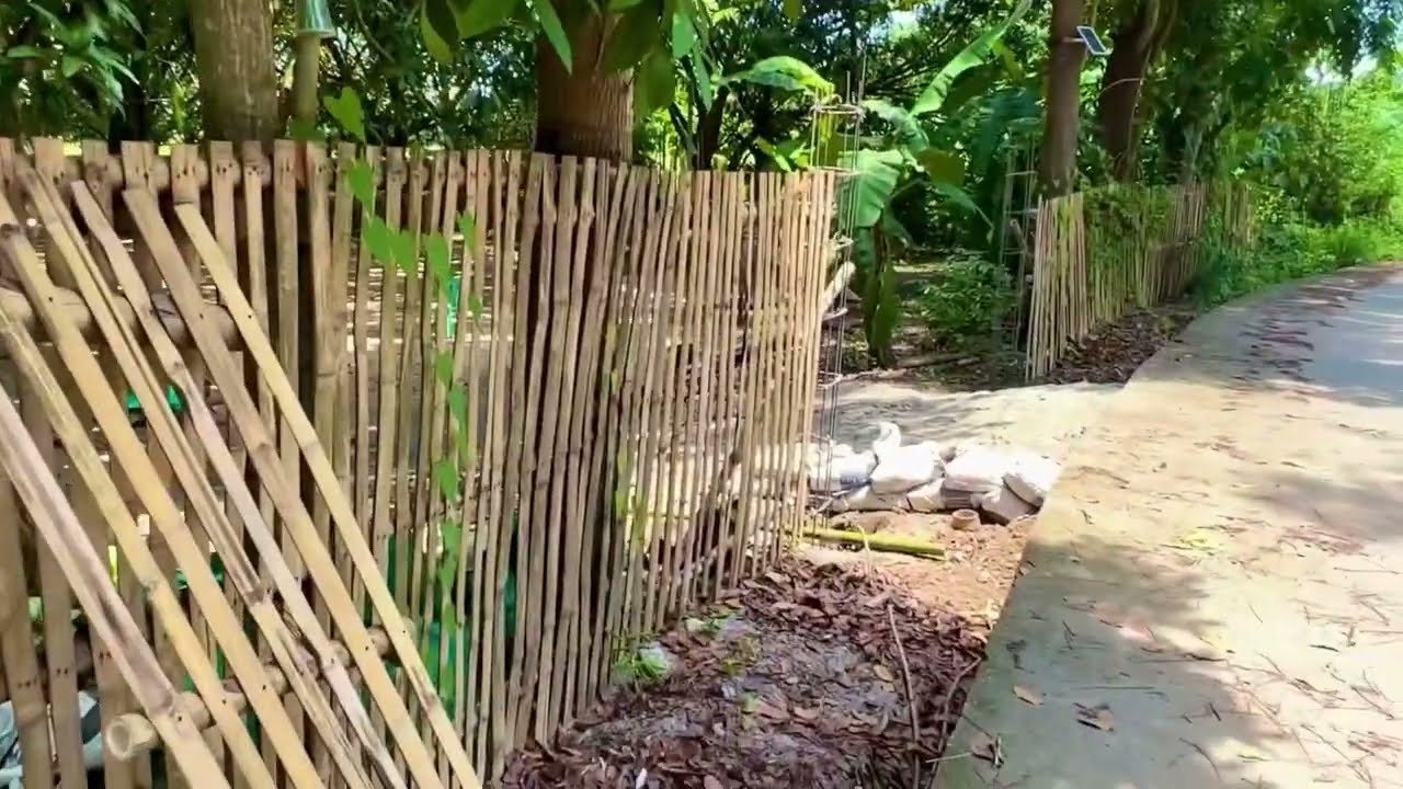 Mini farm update