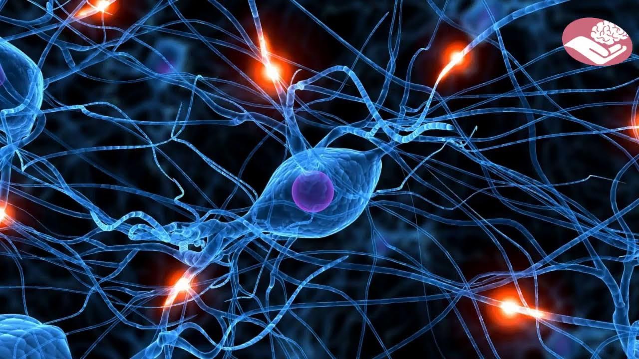 mplicaciones en preescolares sobre el neurodesarrollo y aprendizaje tras la pandemia