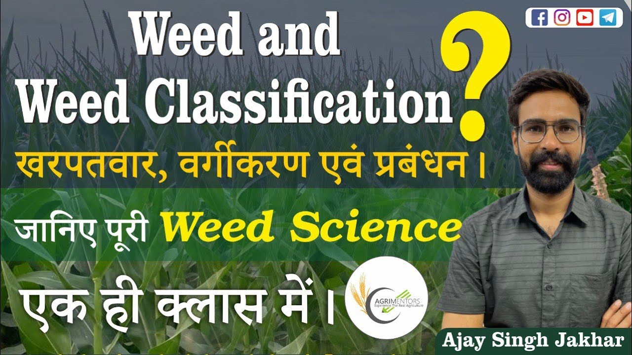 Weed and Weed Classification |खरपतवार, वर्गीकरण एवं प्रबंधन।जानिए पूरी Weed Science एक ही क्लास में।