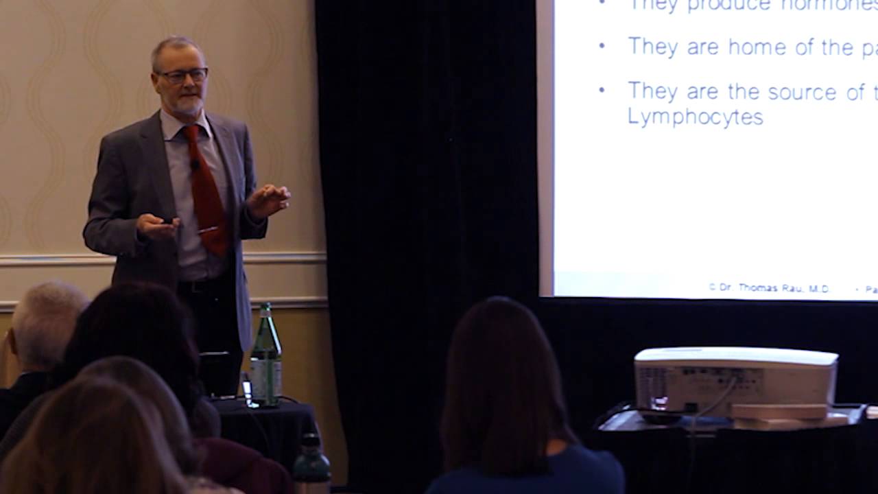 Dr.  Rau's Treatment Approach