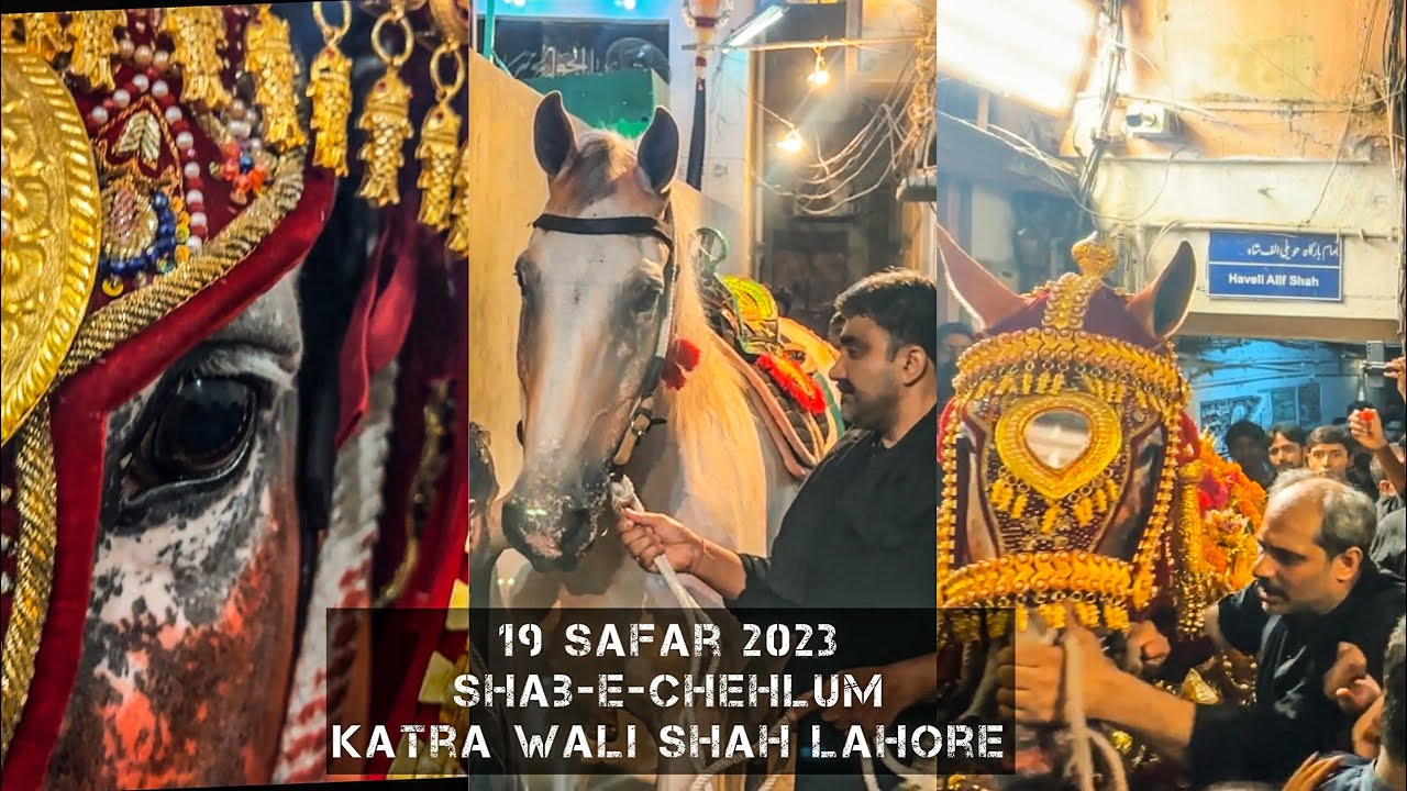 19 Safar | Chehlum Imam Hussain as | Katra Wali Shah | Zuljanah Murtajiz Badshah Lahore 2023-1445H