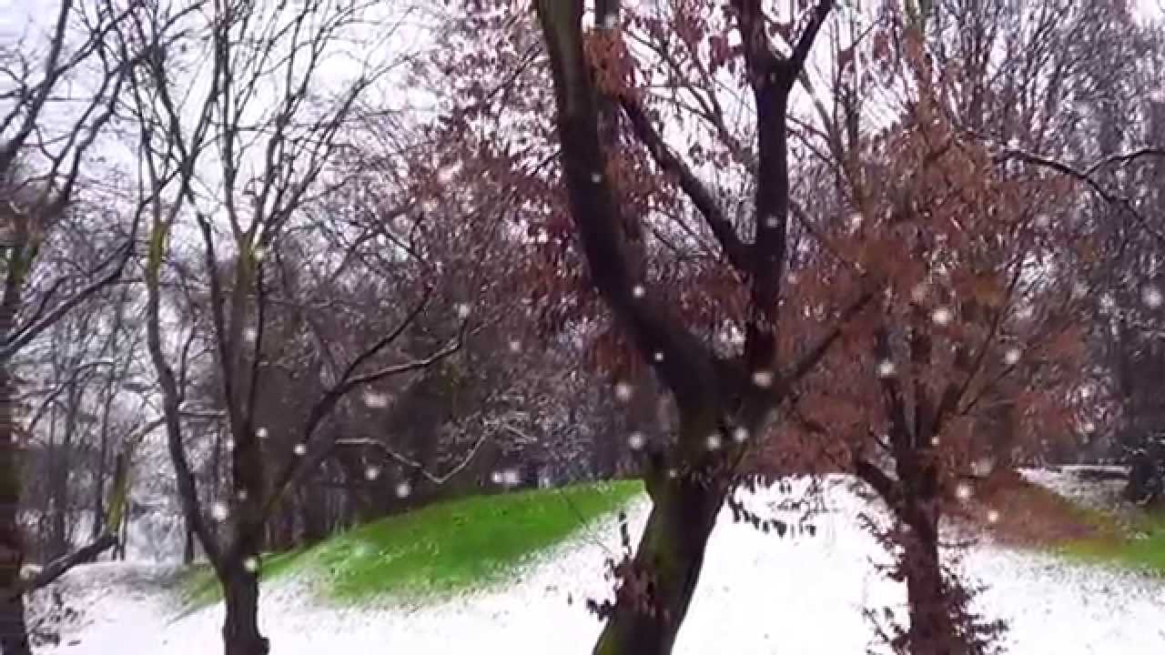 Prima neve Milano 27 Dicembre 2014 - The First Snow in Milan, Italy