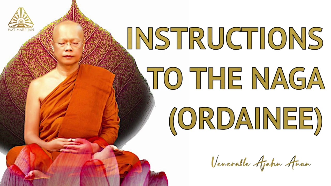 Instructions to the Naga (Ordainee) | Ajahn Anan | 26 Jul 2023