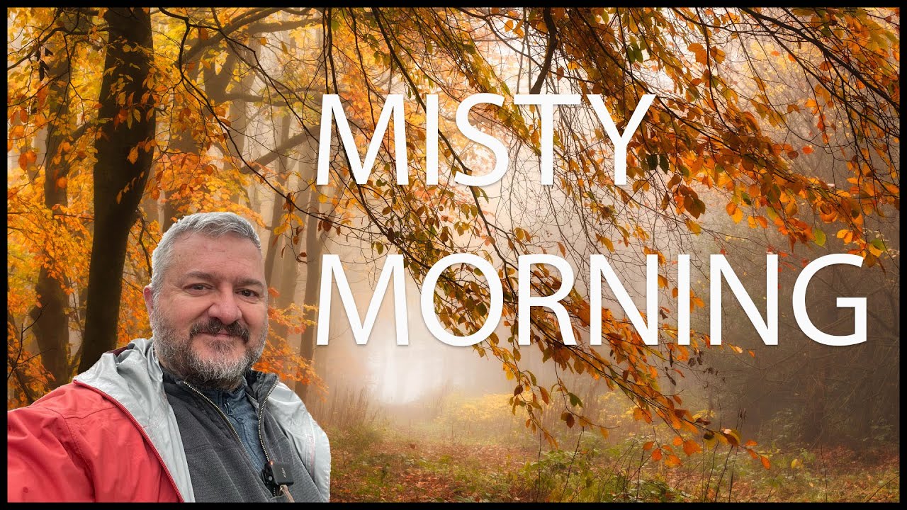 Misty Autumn Woodland Photography in the Peak District