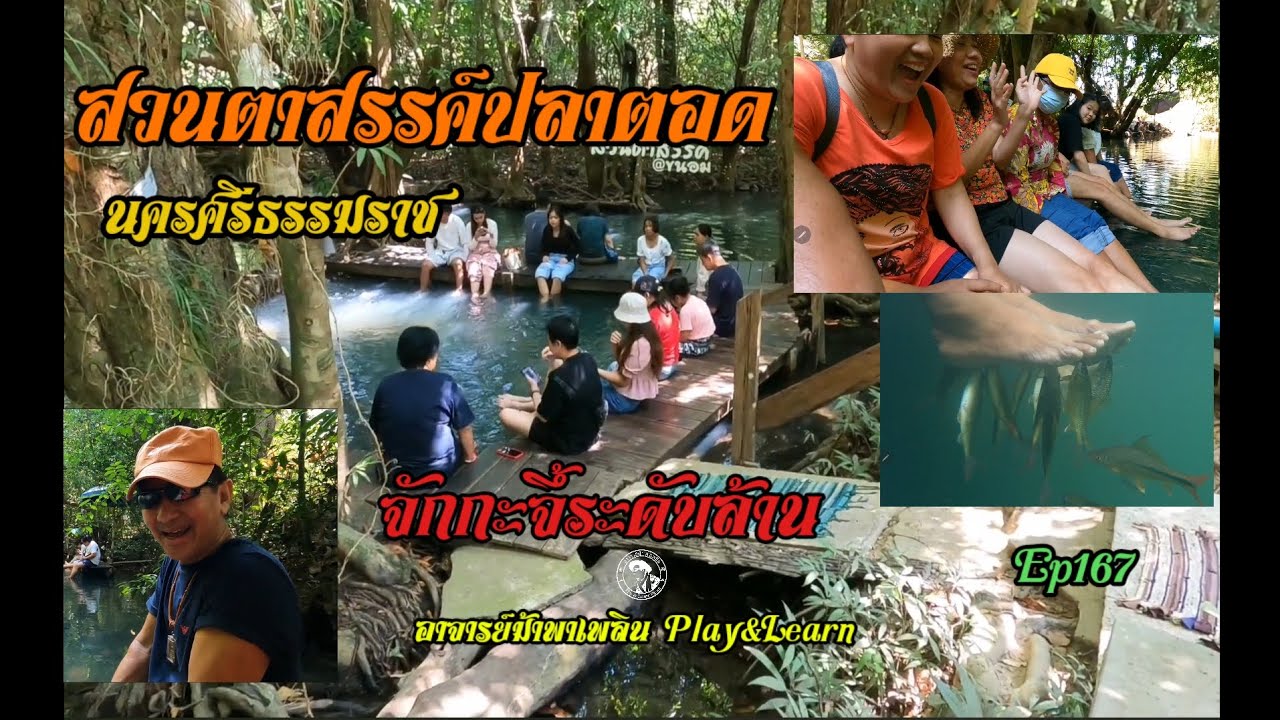 #สวนตาสรรค์ปลาตอดความจั๊กกะจี้ระดับล้าน