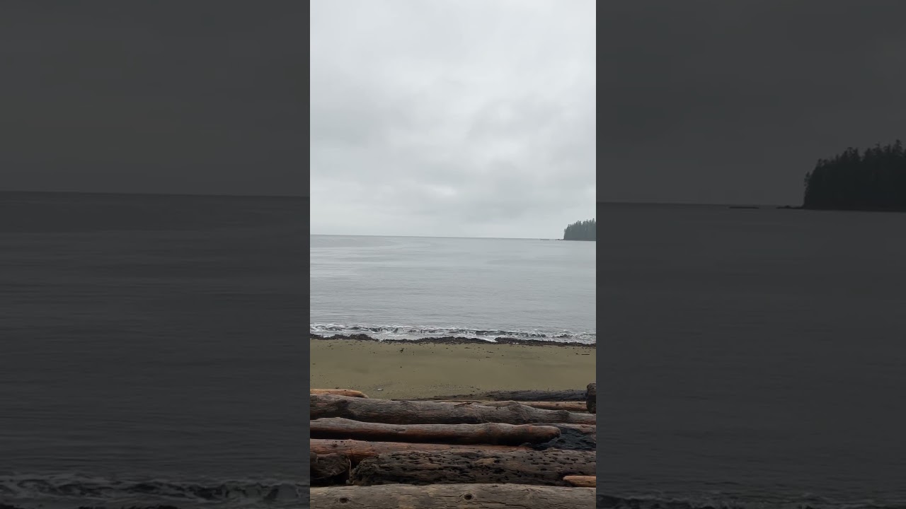 Sandy Beach just outside of Thorne Bay, Alaska&hellip;.. Prince of Wales Island AK #alaskathebeautiful