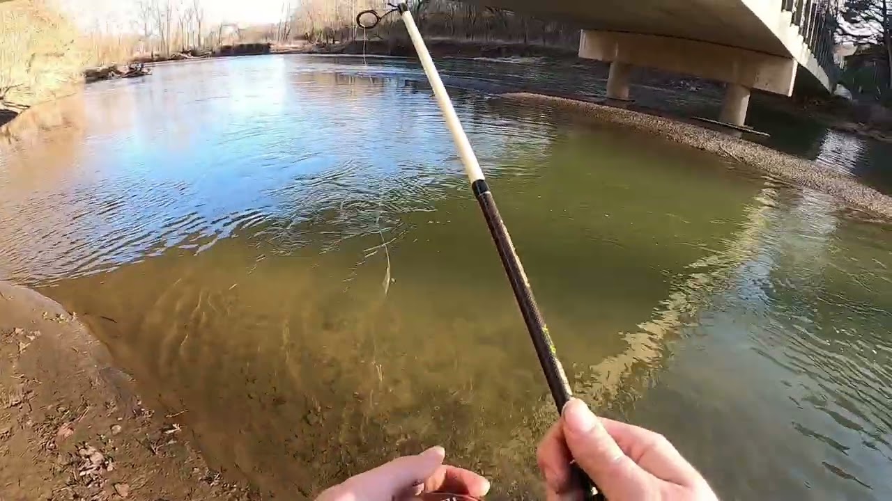 Ohio fishing 2026.