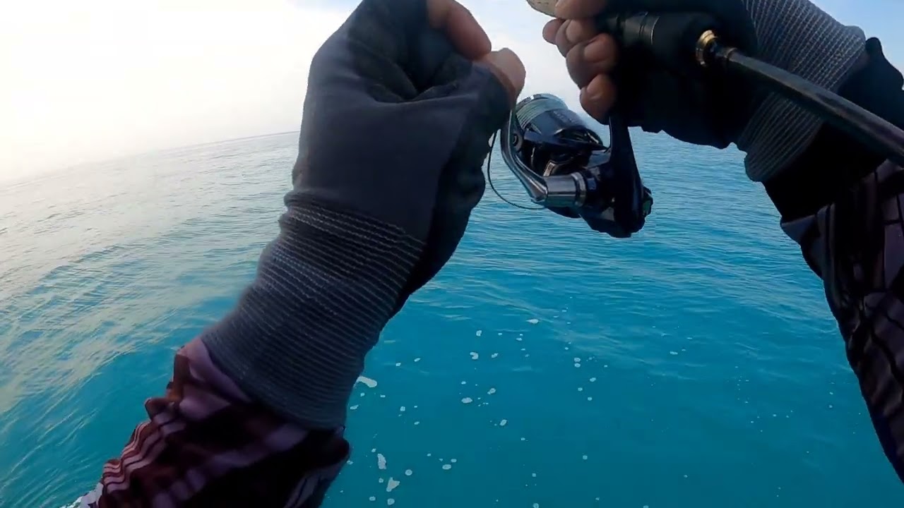 Bullzen kingdom rod VS Tuna a massive strike