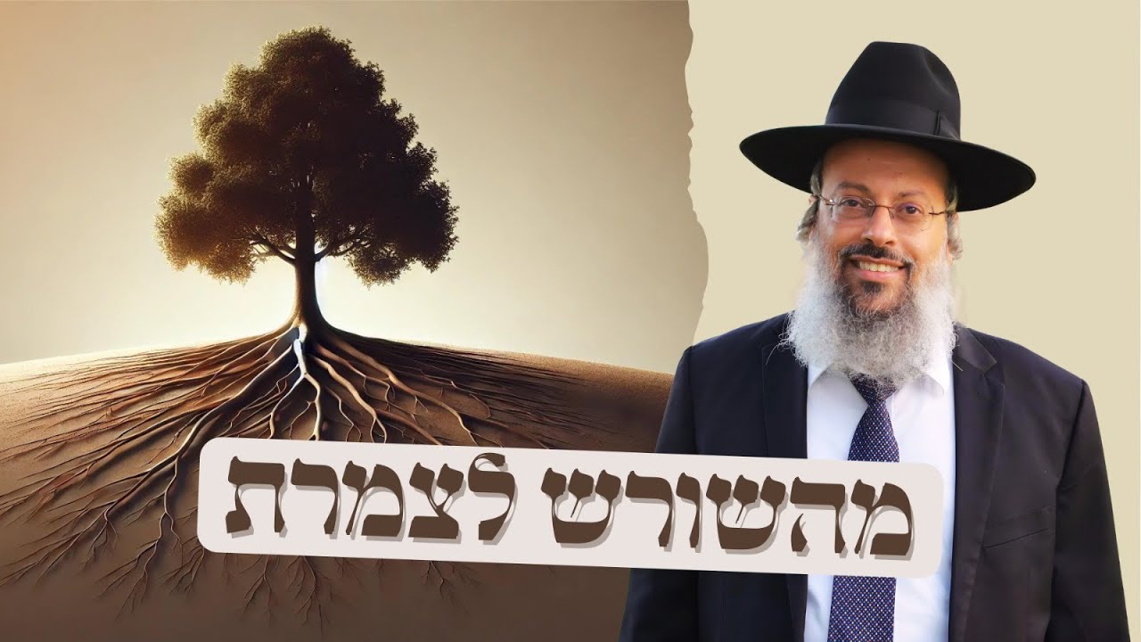 פרשת שופטים | ההצלחה תלויה בשורשים | להכיר את הילד הפנימי בתוכנו ᴴᴰ