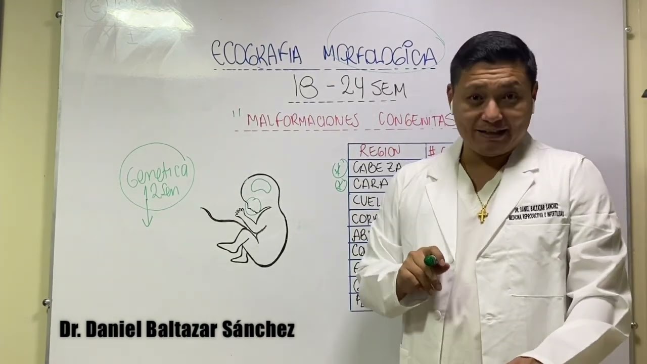 Ecografía Morfológica
