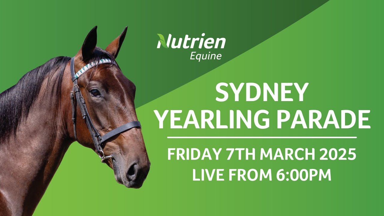 Sydney 2025 Yearling Sale Parade