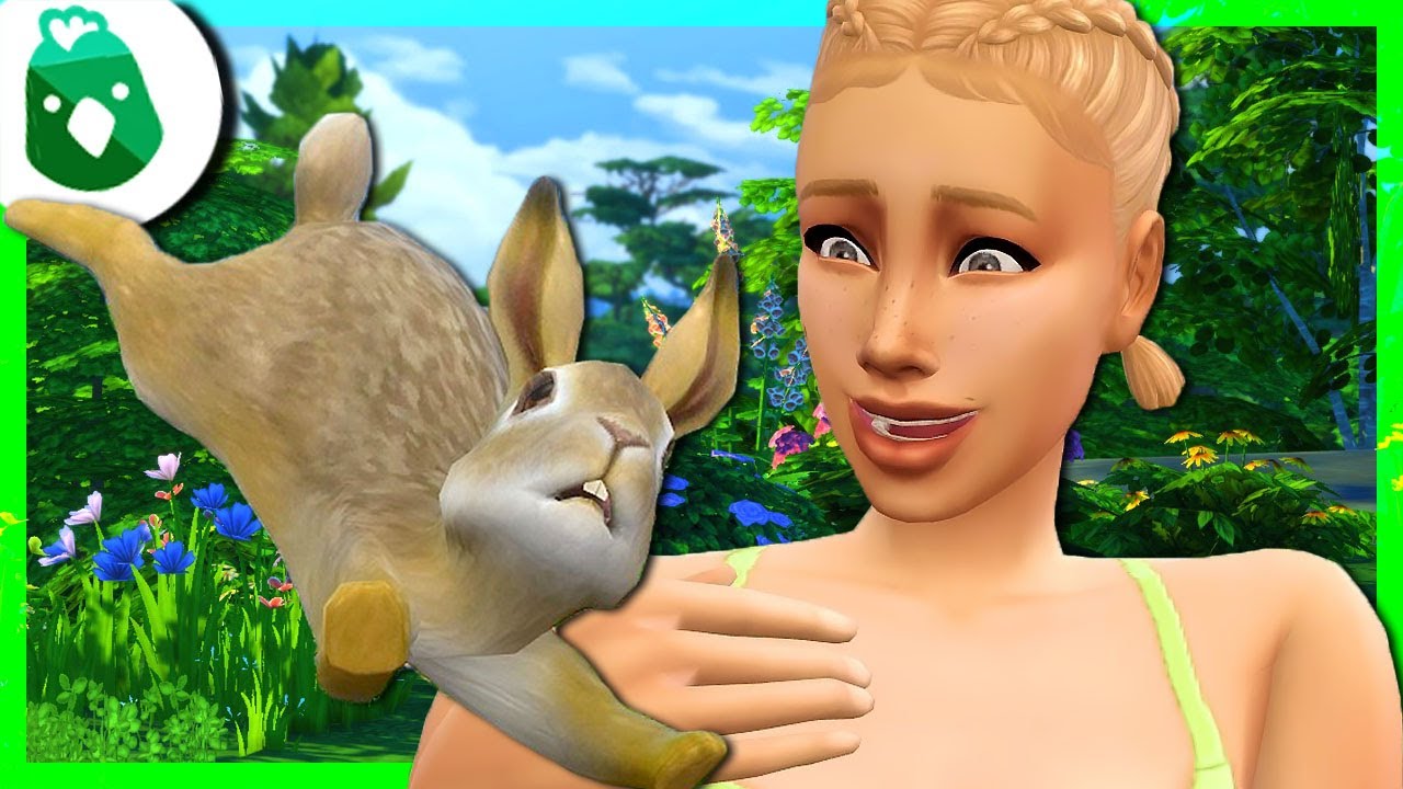 Ma vie à la campagne #02🐰 Les SIMS 4