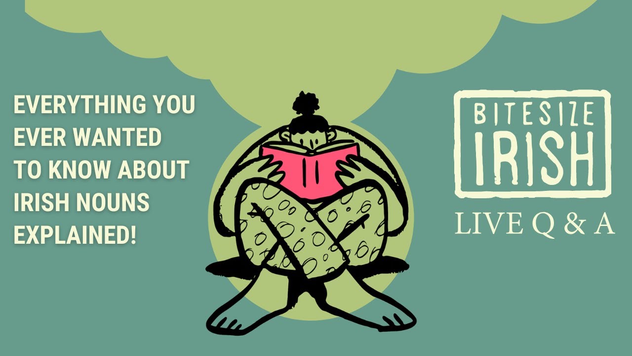 Everything You Ever Wanted To Know About Irish Nouns Explained!