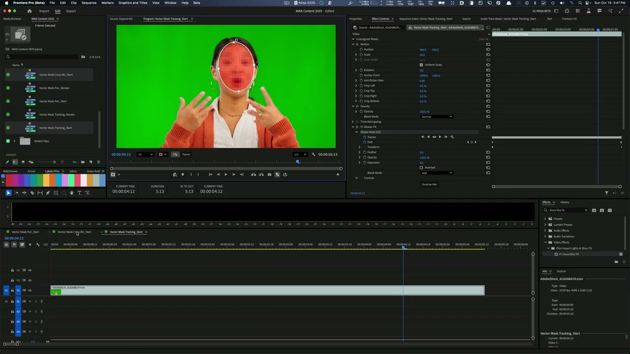 Premiere Pro New Vector Masking Tools