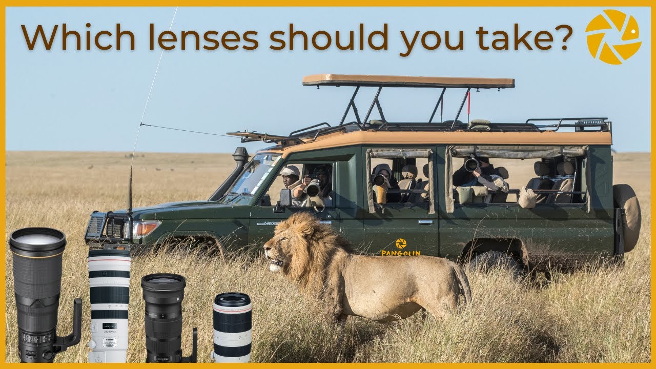 Какие объективы следует взять с собой на сафари в заповеднике MASAI MARA?