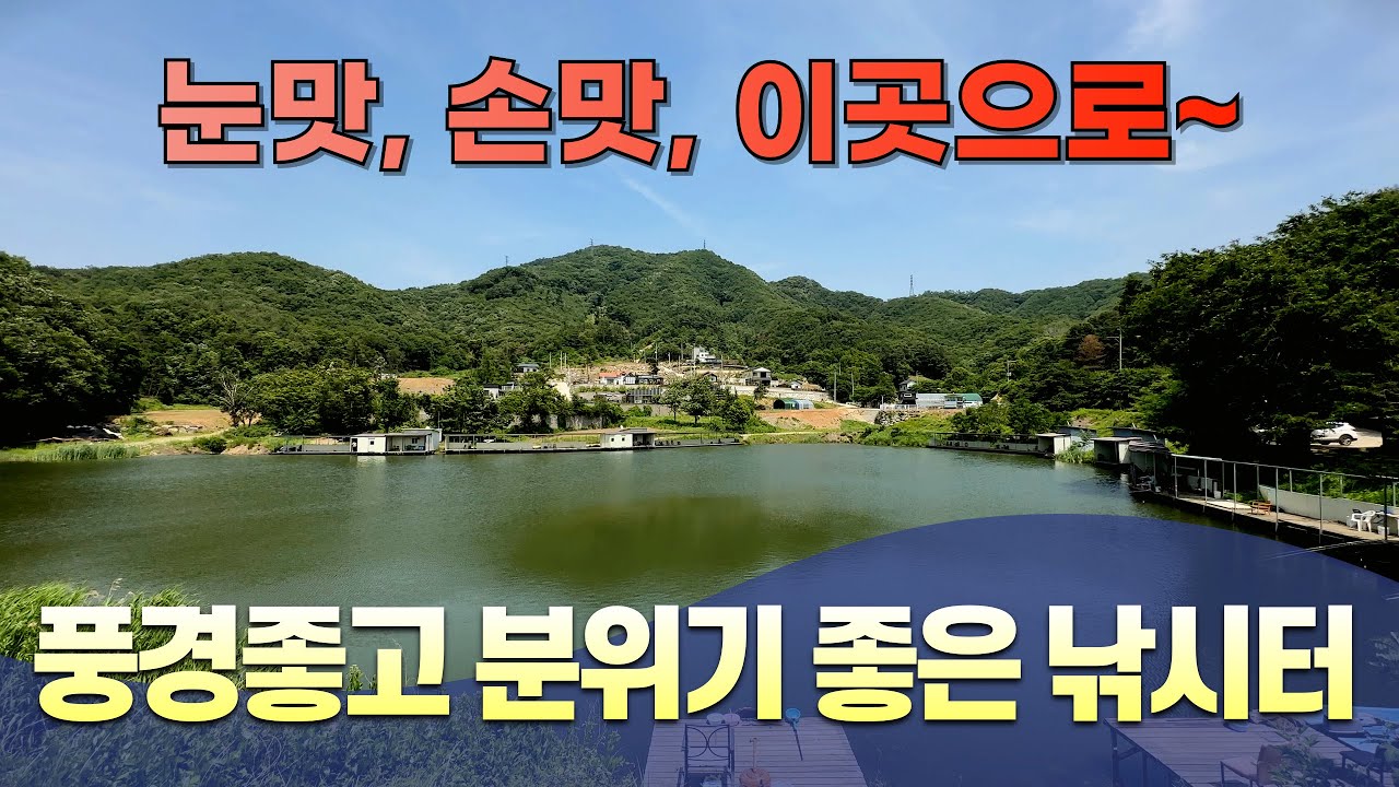 계곡지 낚시터 풍경좋고 분위기 거기다 토종붕어와 향붕어까지-경기 양평 그린낚시터(2025.06.05)#즐낚tv #경원에프엔비 #그린낚시터 #잡이터 #아쿠아삼합