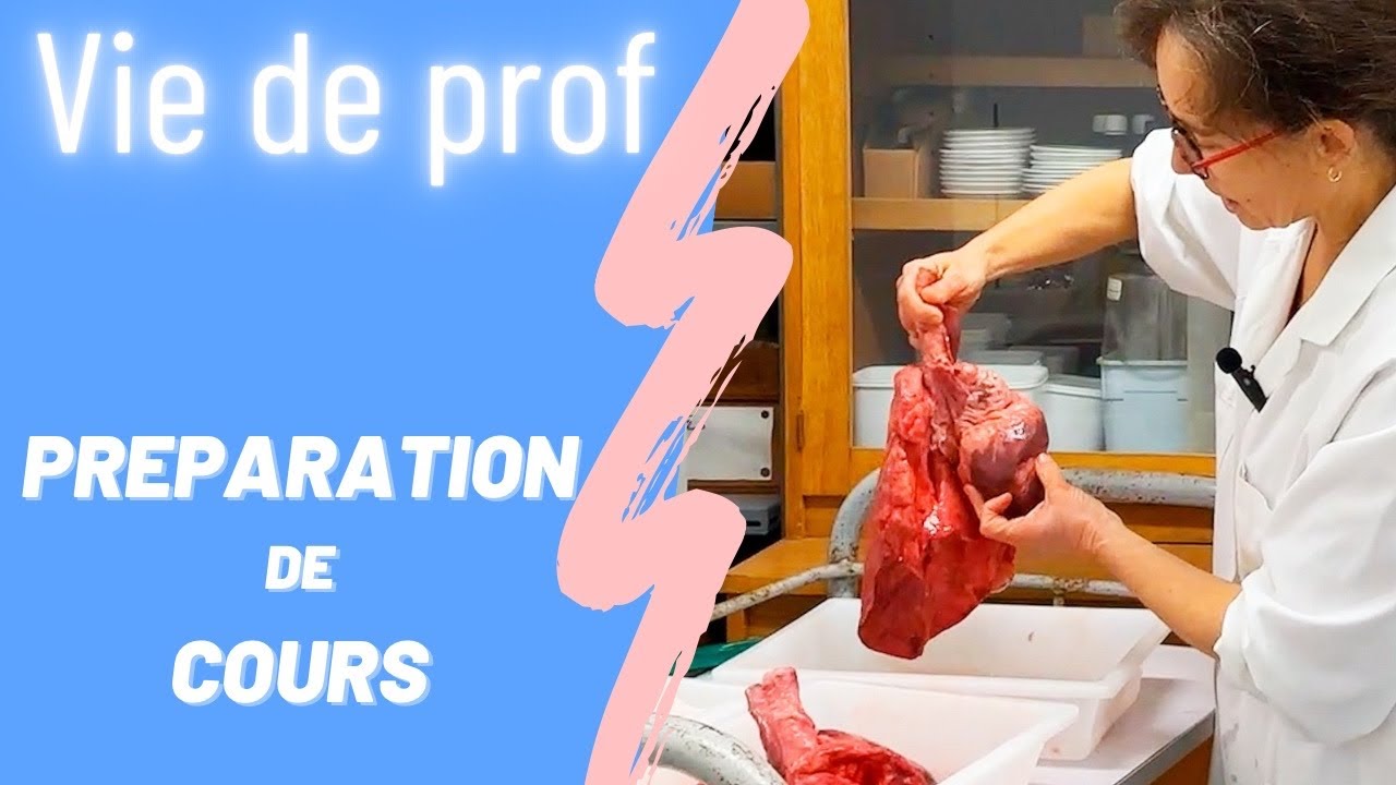 Préparation de TP : la face cachée du métier (âmes sensibles, s'abstenir !)